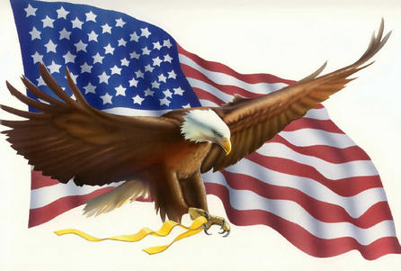 US Flag and Eagle